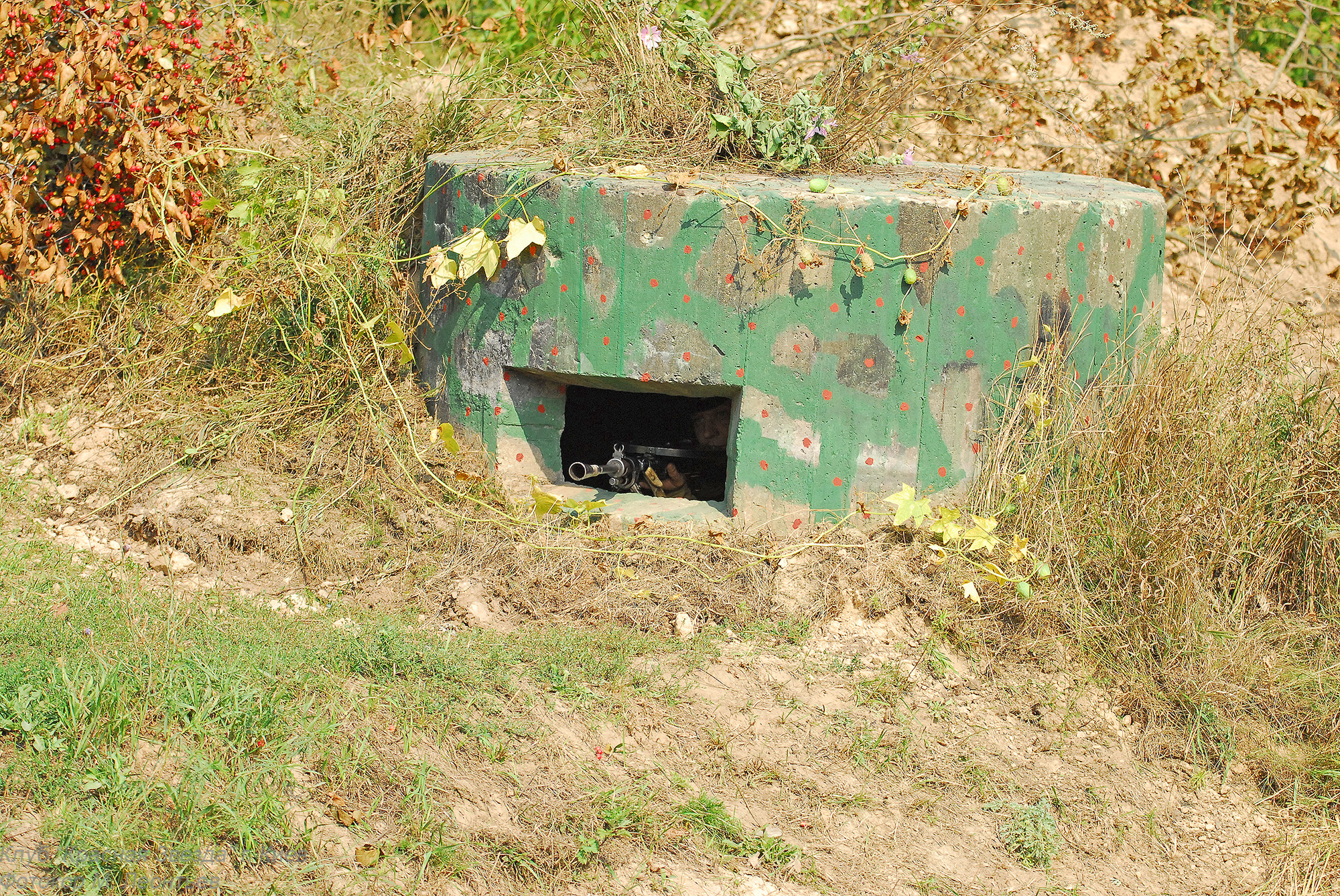 dsc_0200-dhdhdhdhny